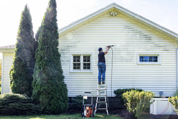 Best Driveway Pressure Washing  in Colesville, MD